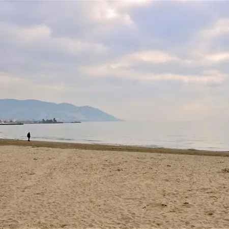 La Palma Vacanze In Riva Al Mare * Diano Marina
